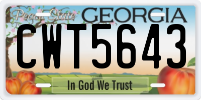 GA license plate CWT5643