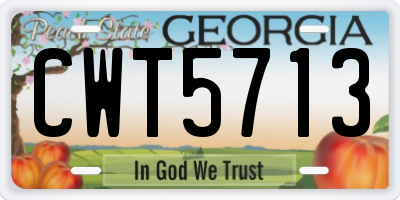 GA license plate CWT5713