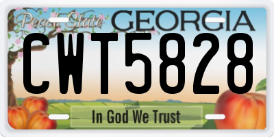 GA license plate CWT5828