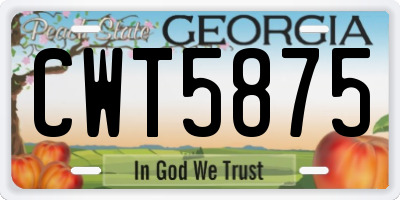GA license plate CWT5875