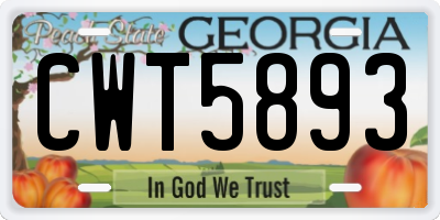GA license plate CWT5893
