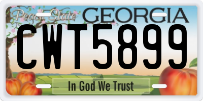GA license plate CWT5899