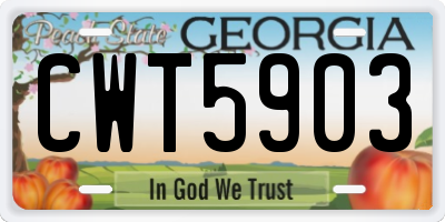 GA license plate CWT5903