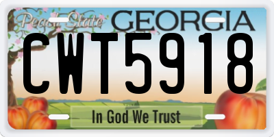 GA license plate CWT5918