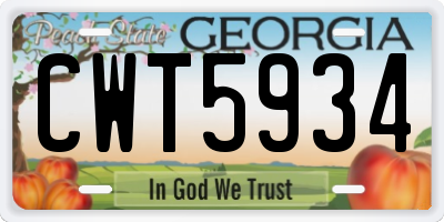 GA license plate CWT5934