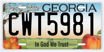 GA license plate CWT5981