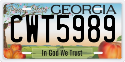 GA license plate CWT5989