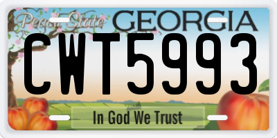GA license plate CWT5993