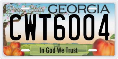 GA license plate CWT6004