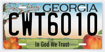 GA license plate CWT6010