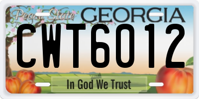 GA license plate CWT6012