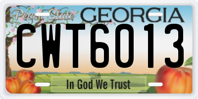 GA license plate CWT6013