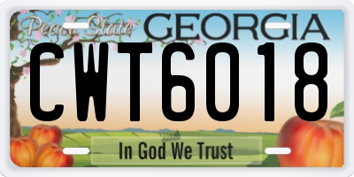 GA license plate CWT6018