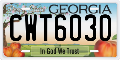 GA license plate CWT6030