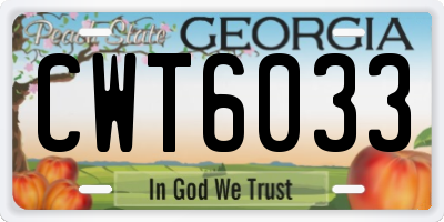 GA license plate CWT6033