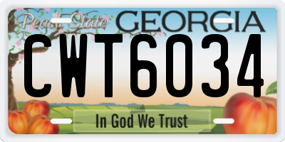 GA license plate CWT6034
