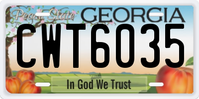 GA license plate CWT6035