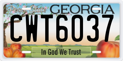 GA license plate CWT6037