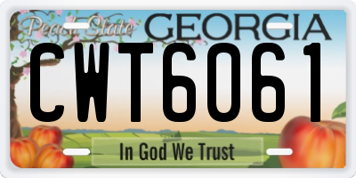 GA license plate CWT6061