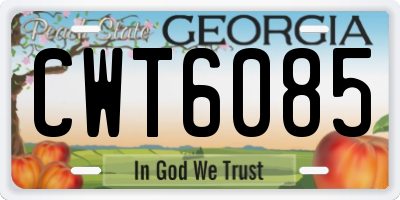 GA license plate CWT6085