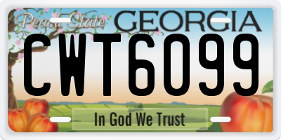 GA license plate CWT6099