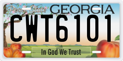 GA license plate CWT6101