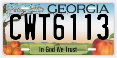 GA license plate CWT6113