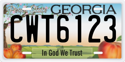 GA license plate CWT6123