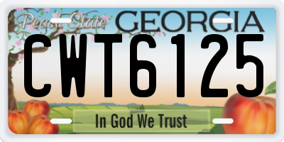 GA license plate CWT6125