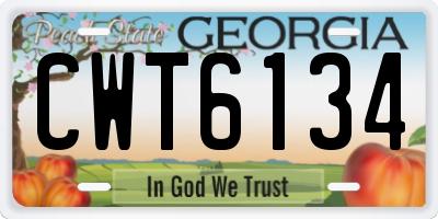 GA license plate CWT6134