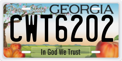 GA license plate CWT6202