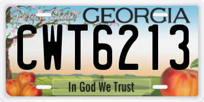 GA license plate CWT6213