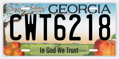 GA license plate CWT6218