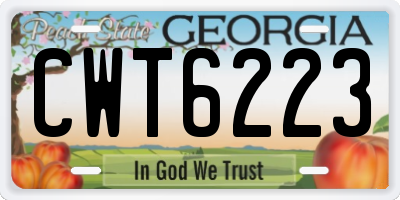 GA license plate CWT6223