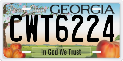 GA license plate CWT6224