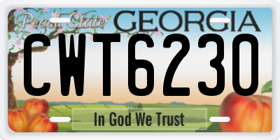 GA license plate CWT6230