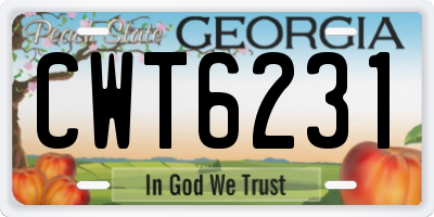 GA license plate CWT6231