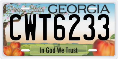 GA license plate CWT6233