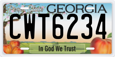 GA license plate CWT6234