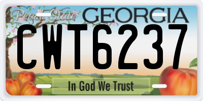 GA license plate CWT6237