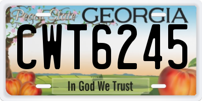 GA license plate CWT6245