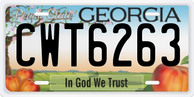 GA license plate CWT6263