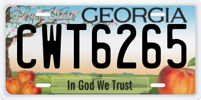 GA license plate CWT6265
