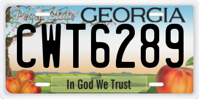 GA license plate CWT6289