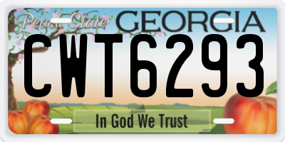 GA license plate CWT6293