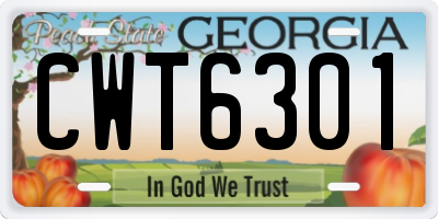 GA license plate CWT6301