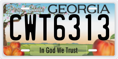 GA license plate CWT6313