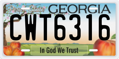 GA license plate CWT6316