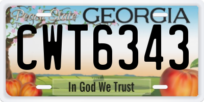 GA license plate CWT6343