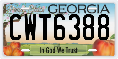 GA license plate CWT6388